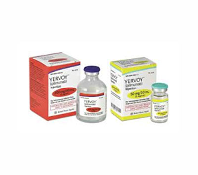 YERVOY